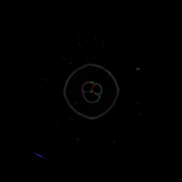 A GIF of a slime mode simulation, also known as physarum simulation. It is rainbow colored, depiciting the direction in which the particles are moving.